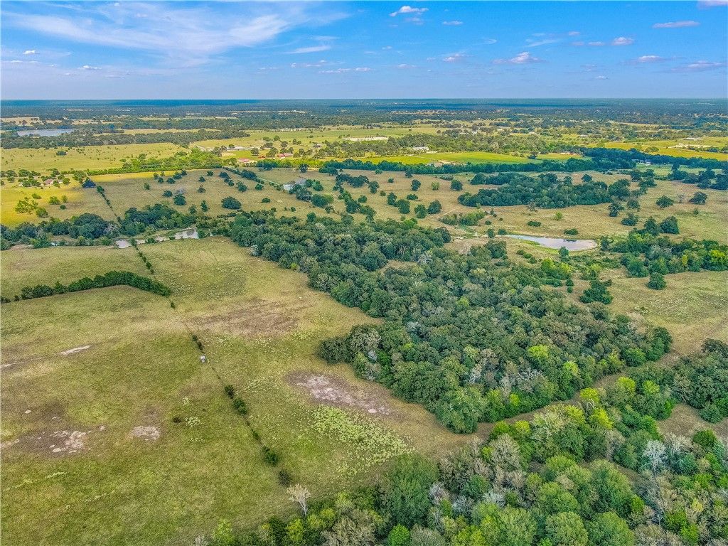 TBD S FM 2038 Farm to Market Road, Bryan, TX 77808 — photo 4