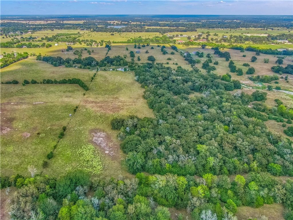 TBD S FM 2038 Farm to Market Road, Bryan, TX 77808 — photo 5