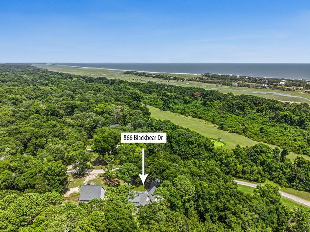 866 Blackbear Drive, Edisto Island, SC 29438