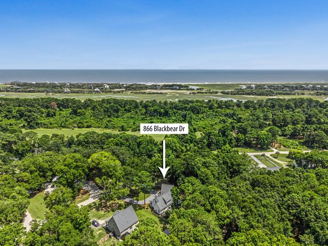 866 Blackbear Drive, Edisto Island, SC 29438