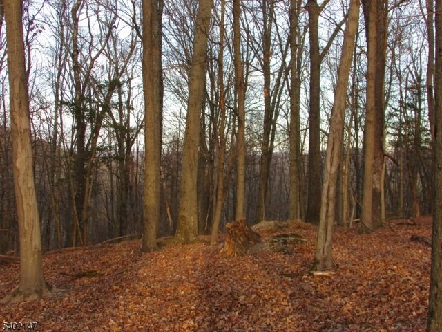 0 Clark Road, Wantage Twp., NJ 07461