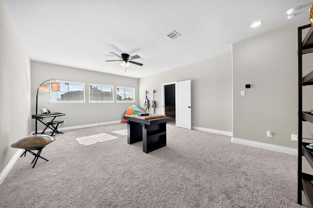 3500 Bristle Cone Drive, Little Elm, TX 75068
