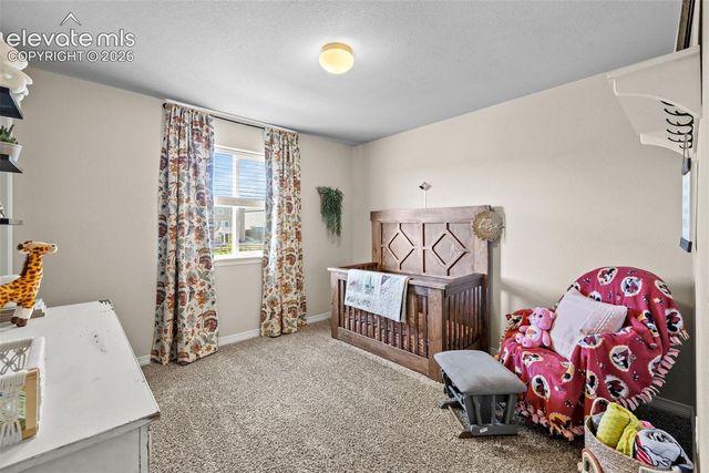 12816 Scenic Walk Drive, Peyton, CO 80831