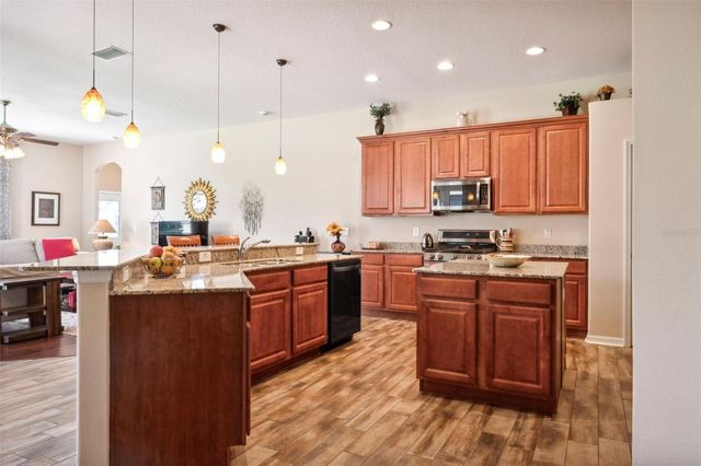 1430 BEACONSFIELD DRIVE, Wesley Chapel, FL 33543