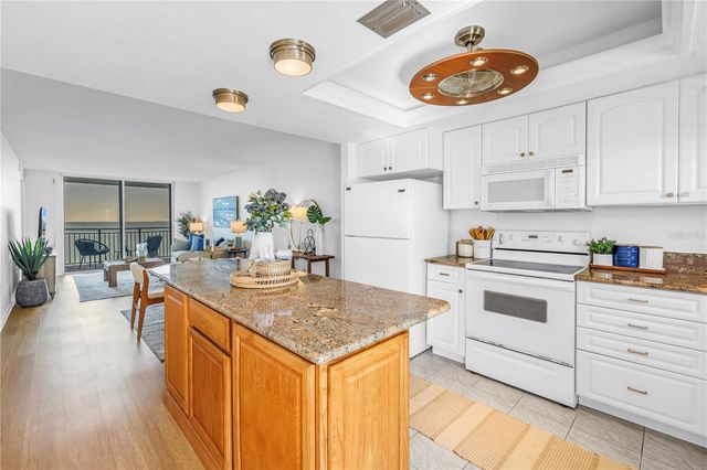 9 HAIG PLACE 510, Dunedin, FL 34698