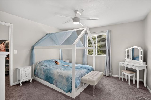 262 Pavo Court, Loveland, CO 80537