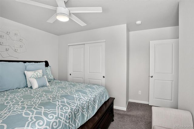 262 Pavo Court, Loveland, CO 80537
