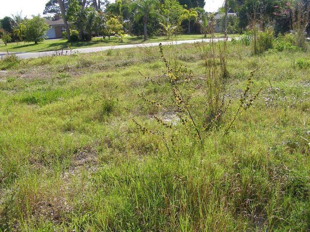 506 NE Oleander Avenue, Port St. Lucie, FL 34952