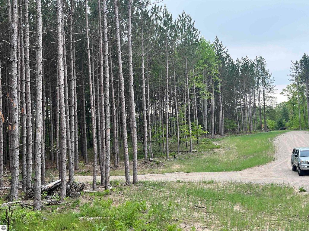 Image 4 of property listing at TBD Theron Road, Traverse City, MI 49685