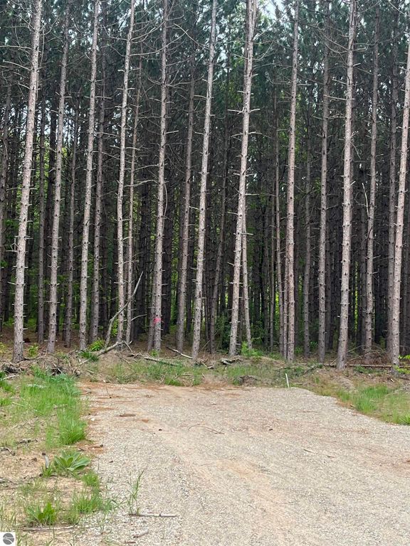 Image 5 of property listing at TBD Theron Road, Traverse City, MI 49685