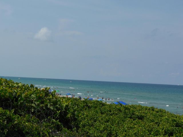 800 Juno Ocean Walk 301a, Juno Beach, FL 33408
