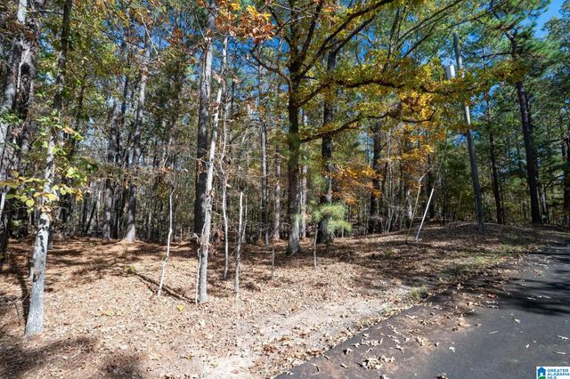 268 NICHOLS ROAD, Chelsea, AL 35043