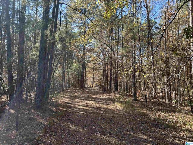 268 NICHOLS ROAD, Chelsea, AL 35043