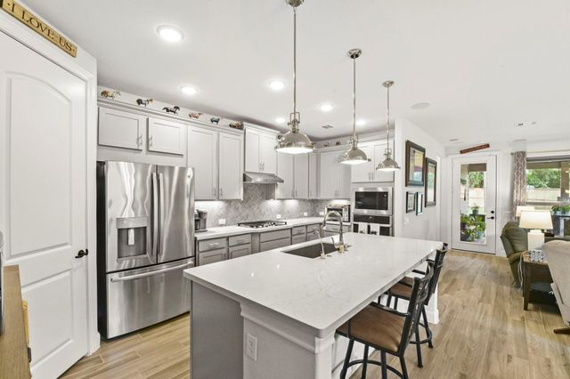 110 Pepper Grass Place, Montgomery, TX 77316