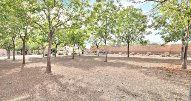 29133 N 125th Drive, Peoria, AZ 85383