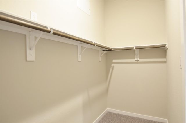 6434 Verbena Blossom Trail, Katy, TX 77449