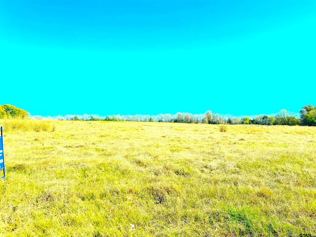 1176 W FM 515, Winnsboro, TX 75494
