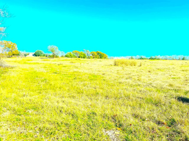 1176 W FM 515, Winnsboro, TX 75494