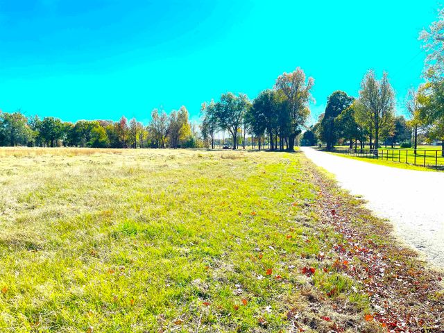 1176 W FM 515, Winnsboro, TX 75494