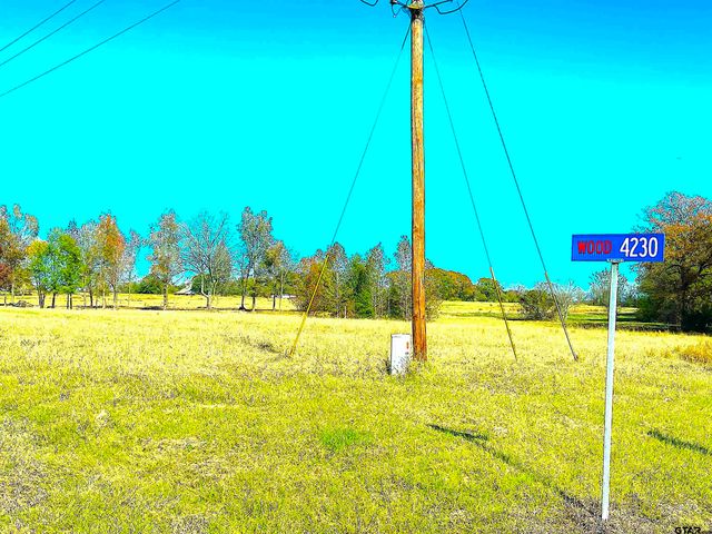 1176 W FM 515, Winnsboro, TX 75494