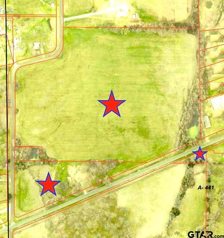 1176 W FM 515, Winnsboro, TX 75494