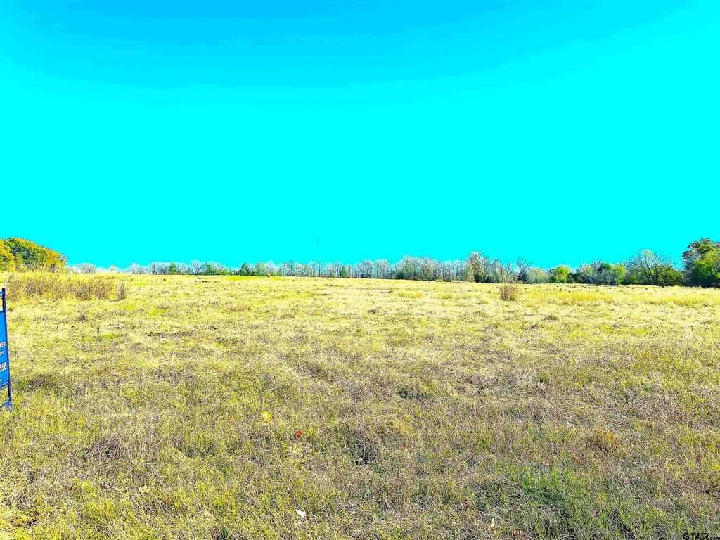 1176 W FM 515, Winnsboro, TX 75494
