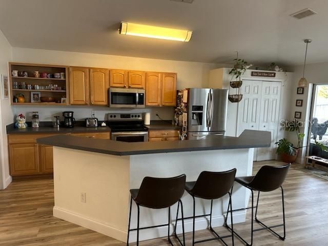 207 TREE BRANCH LANE, Edgewater, FL 32141