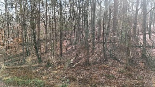 3925 Pine Tree Lane, Gainesville, GA 30501