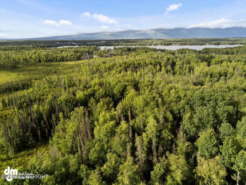 Tr C Lake Lucille Drive, Wasilla, AK 99654