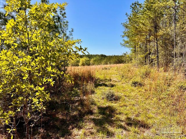 Lot 14-SW Bashi Rd, Pace, FL 32571