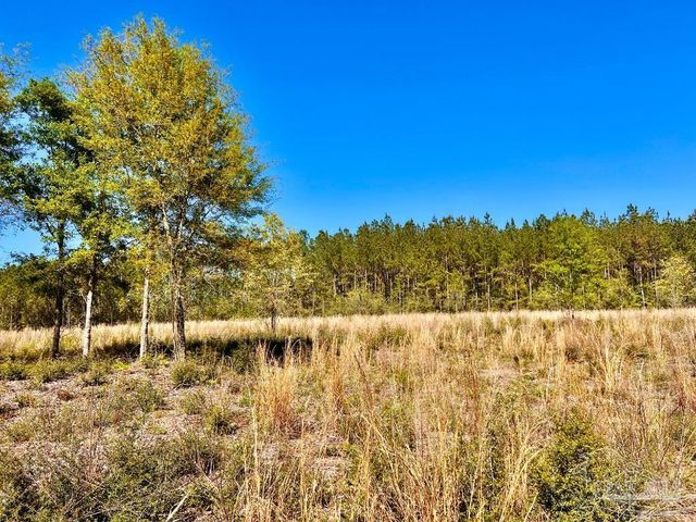 Lot 14-SW Bashi Rd, Pace, FL 32571