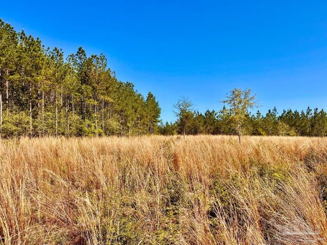 Lot 14-SW Bashi Rd, Pace, FL 32571