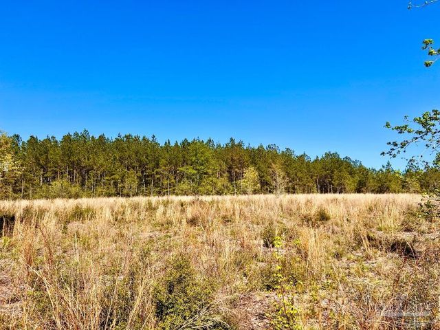 Lot 14-SW Bashi Rd, Pace, FL 32571