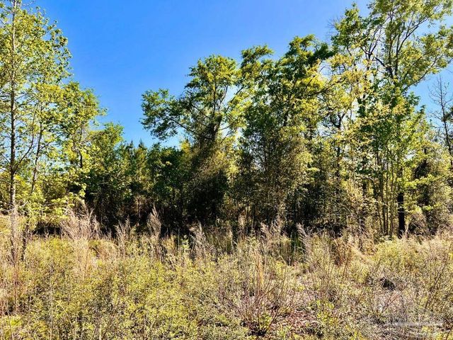 Lot 14-SW Bashi Rd, Pace, FL 32571
