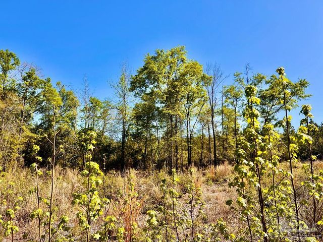 Lot 14-SW Bashi Rd, Pace, FL 32571