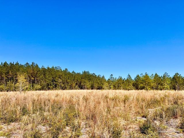Lot 14-SW Bashi Rd, Pace, FL 32571