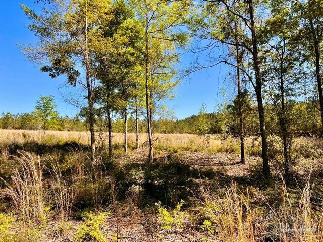 Lot 14-SW Bashi Rd, Pace, FL 32571