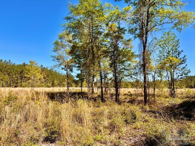 Lot 14-SW Bashi Rd, Pace, FL 32571
