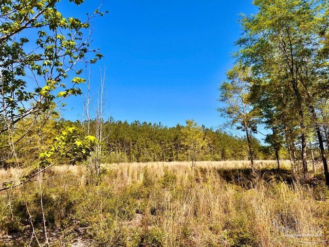 Lot 14-SW Bashi Rd, Pace, FL 32571