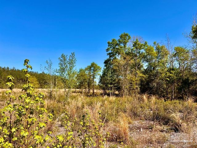 Lot 14-SW Bashi Rd, Pace, FL 32571