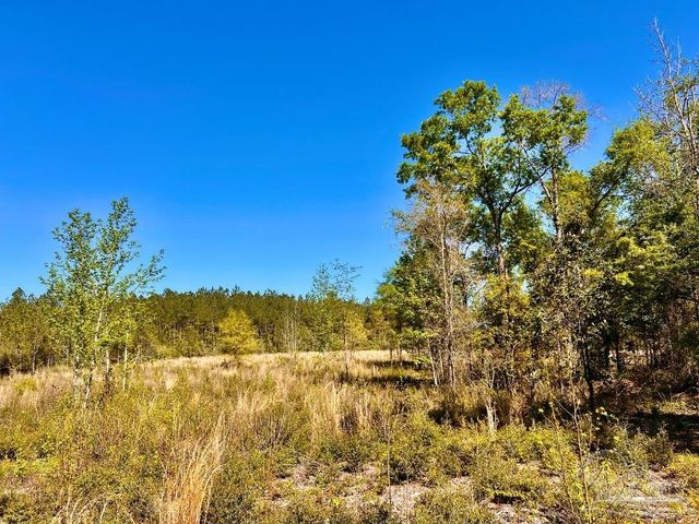 Lot 14-SW Bashi Rd, Pace, FL 32571