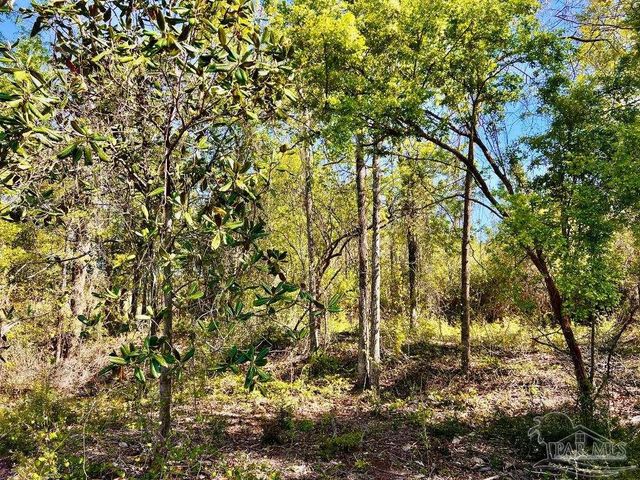 Lot 14-SW Bashi Rd, Pace, FL 32571