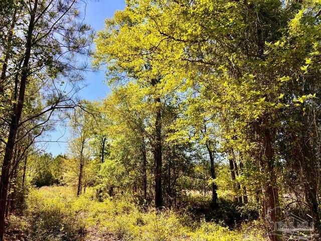 Lot 14-SW Bashi Rd, Pace, FL 32571