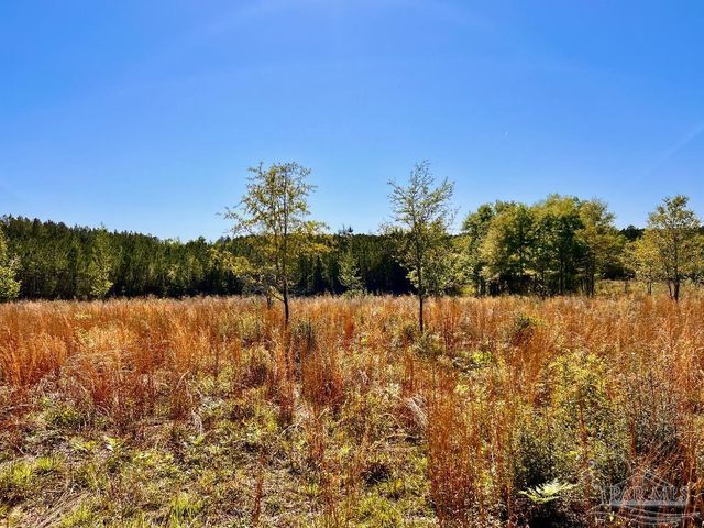 Lot 14-SW Bashi Rd, Pace, FL 32571