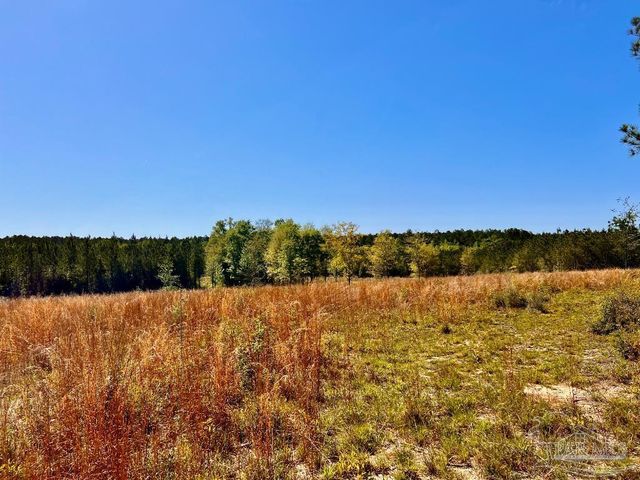 Lot 14-SW Bashi Rd, Pace, FL 32571