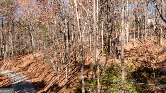 LOT 124 Mountain View Road, Dawsonville, GA 30534
