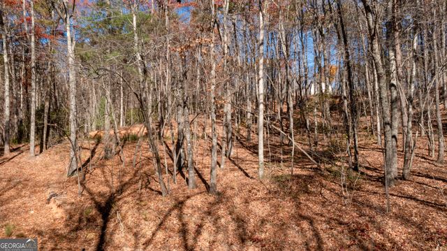 LOT 124 Mountain View Road, Dawsonville, GA 30534