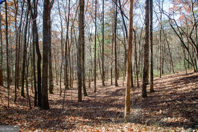 LOT 124 Mountain View Road, Dawsonville, GA 30534