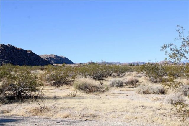 61308105 Dorth, 29 Palms, CA 92277