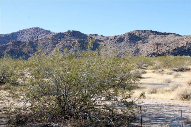 61308105 Dorth, 29 Palms, CA 92277